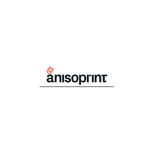 Anisoprint